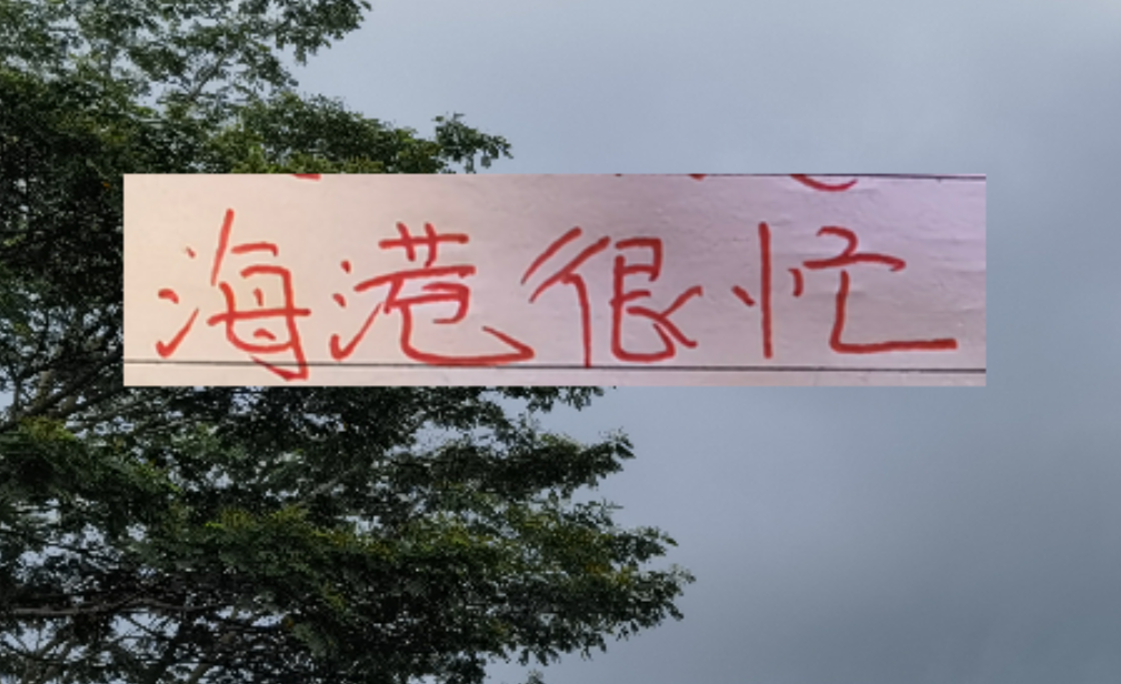 爱游戏平台下载-2026年海港应该是最忙的球队 去年还有申花陪 今年只能是孤勇者